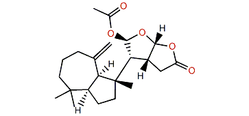 Dendrillolide A